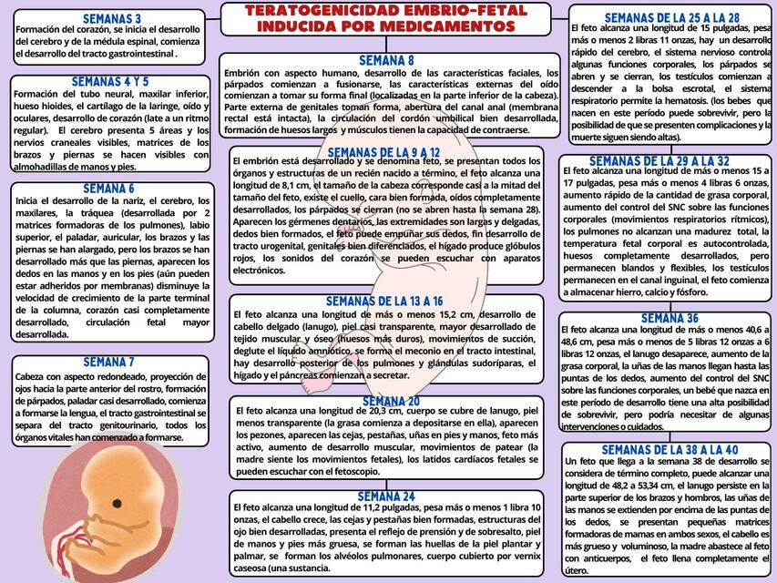 Teratogenicidad embrio fetal inducida por medicame