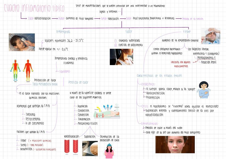 Cuadro inflamatorio típico