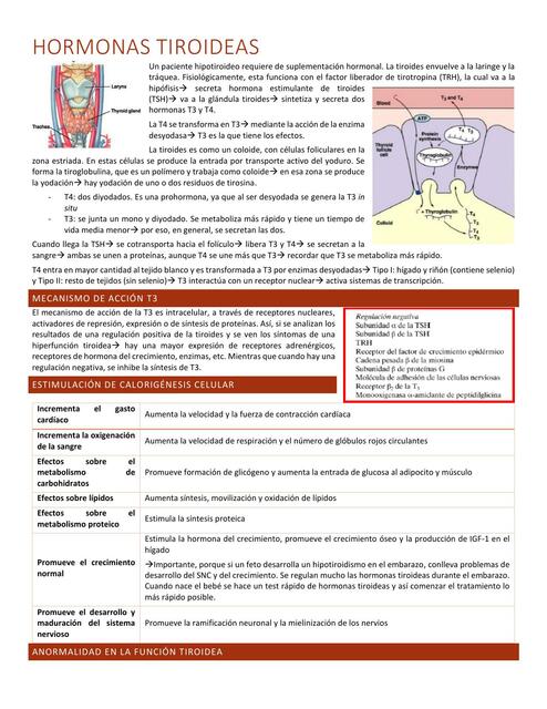 Resumen tiroides