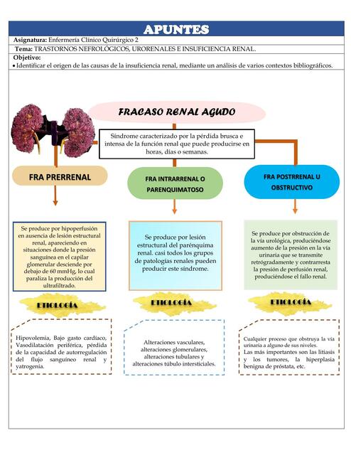 TRASTORNOS NEFROLOGICOS