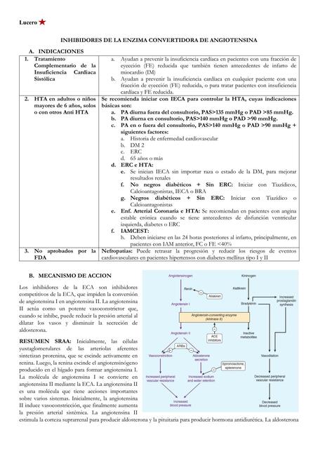 RESUMEN IECAs