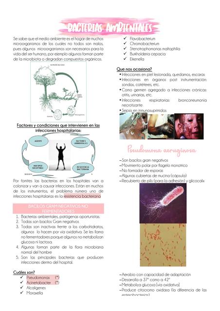 BACTERIAS AMBIENTALES imednotes 1