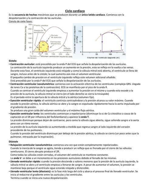 Ciclo cardíaco