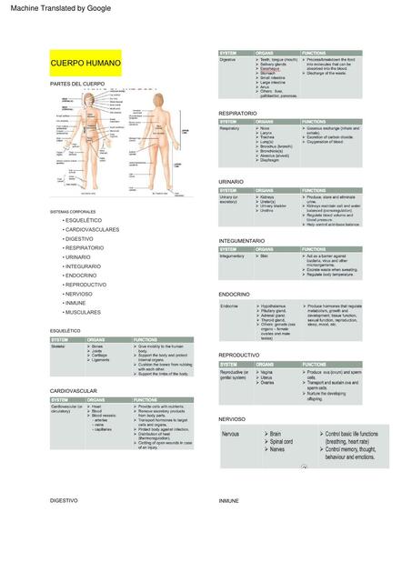 INGLÉS MÉDICO PARCIAL 1