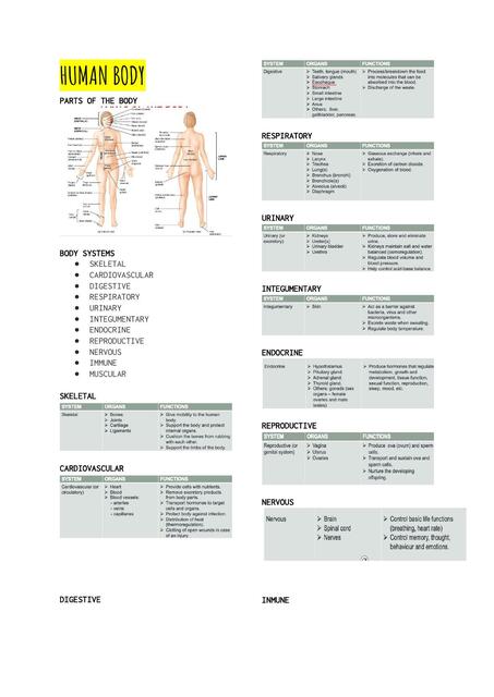 INGLÉS MÉDICO PARCIAL