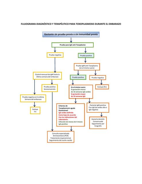 FLUJOGRAMA TOXOPLASMOSIS DURANTE EL EMBARAZO