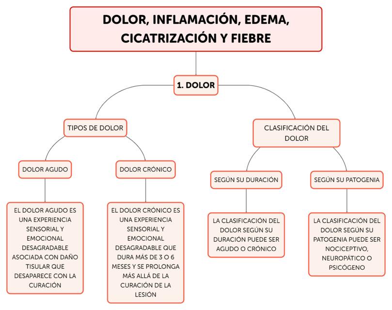 Dolor , inflamacion , edema , cicatrizacion y fiebre 