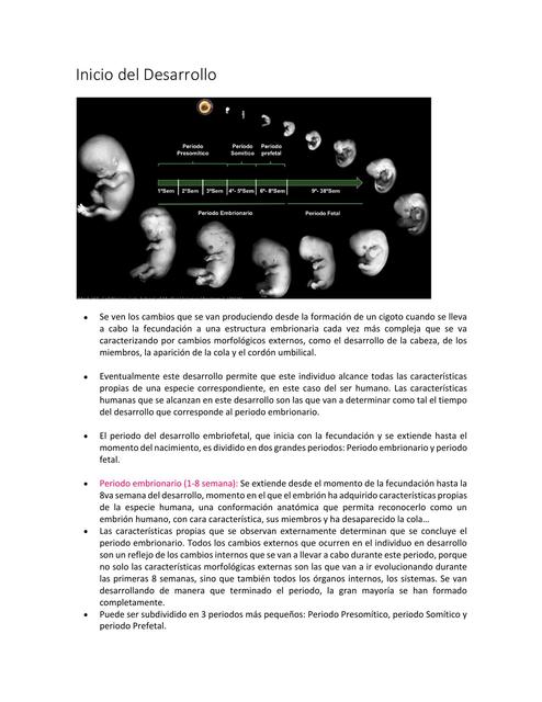 Inicio del Desarrollo Embriología