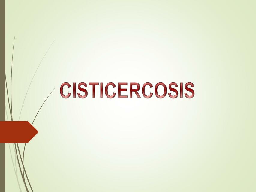 cisticercosis