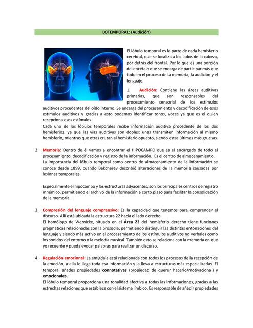 Resumen 5: Lóbulo temporal