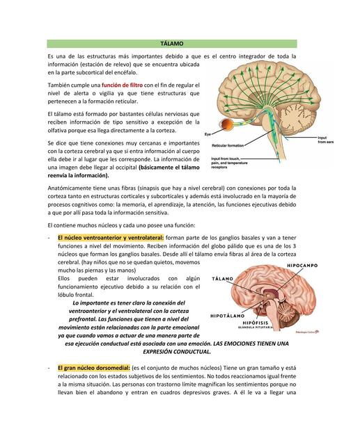 Resumen 8: Tálamo