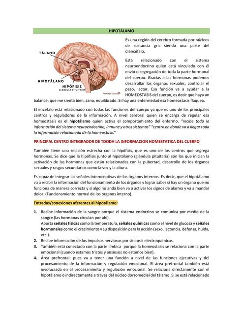 Resumen 9: hipotálamo