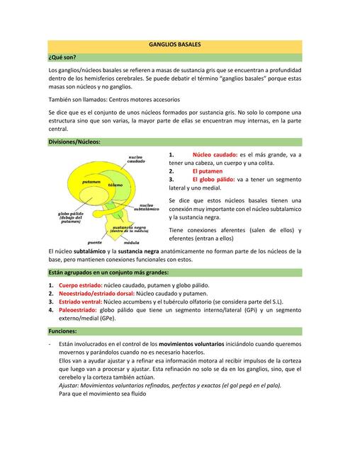 Resumen 12: ganglios basales