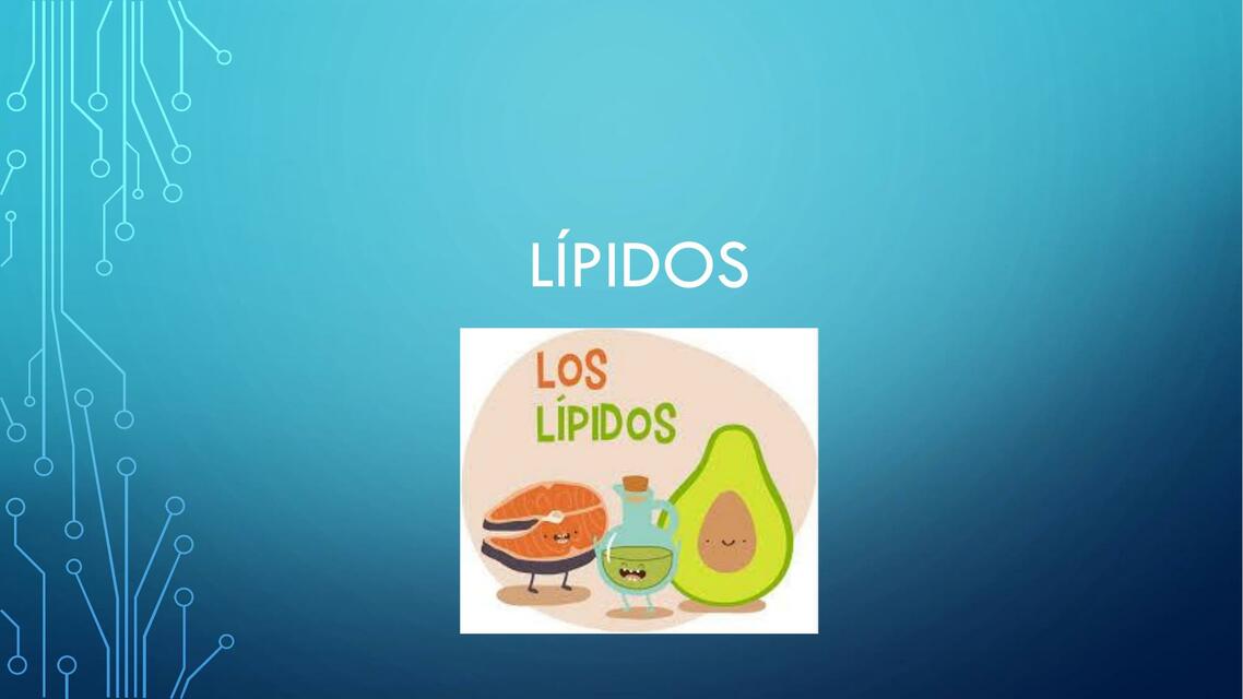 Lípidos