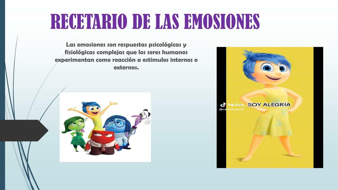 RECETARIO DE LAS EMOSIONES RUTH PUMACHARA