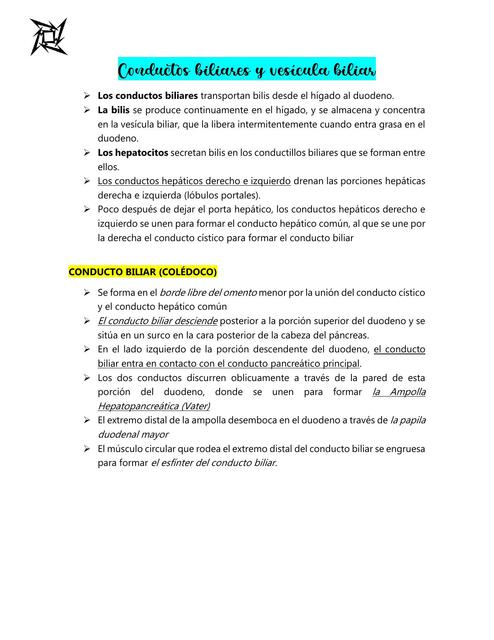 CONDUCTOS BILIARES Y VESÍCULA BILIAR