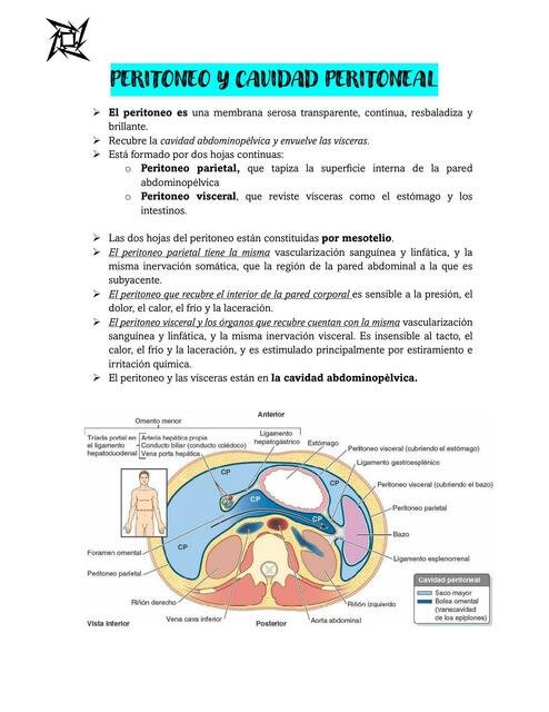 PERITONEO Y CAVIDAD PERITONEAL