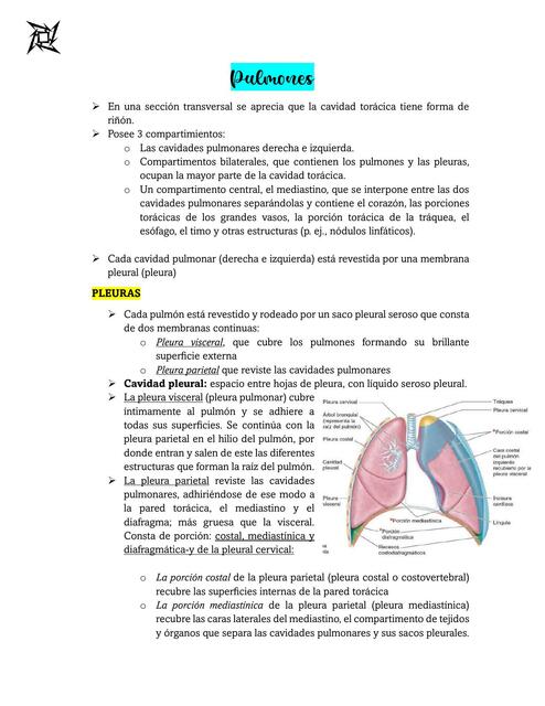 PULMONES