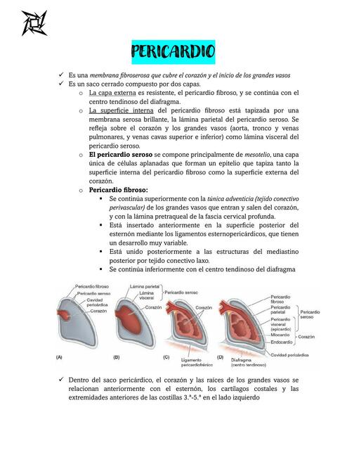 PERICARDIO Y CORAZÓN