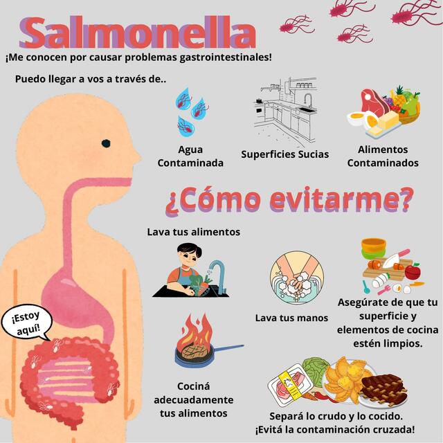 Salmonella - Post IG