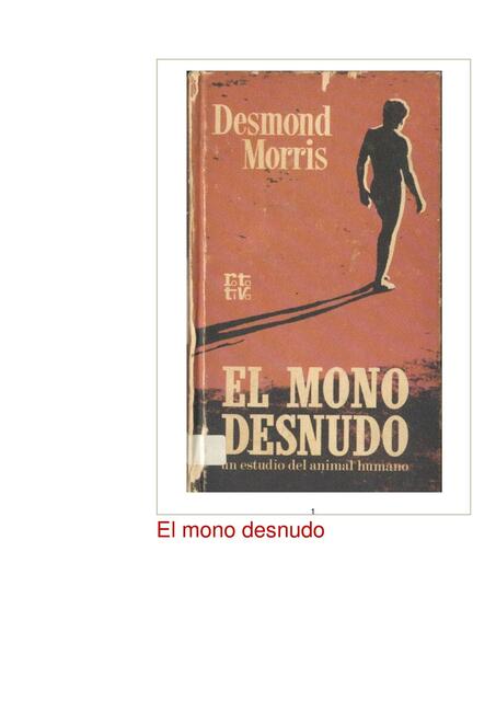 El (deity) visual data 6