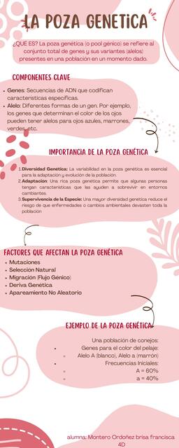 Infografía gentica