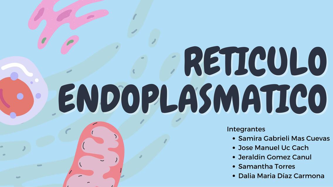 EXPOSICIÒN RETICULO ENDOPLASMATICO