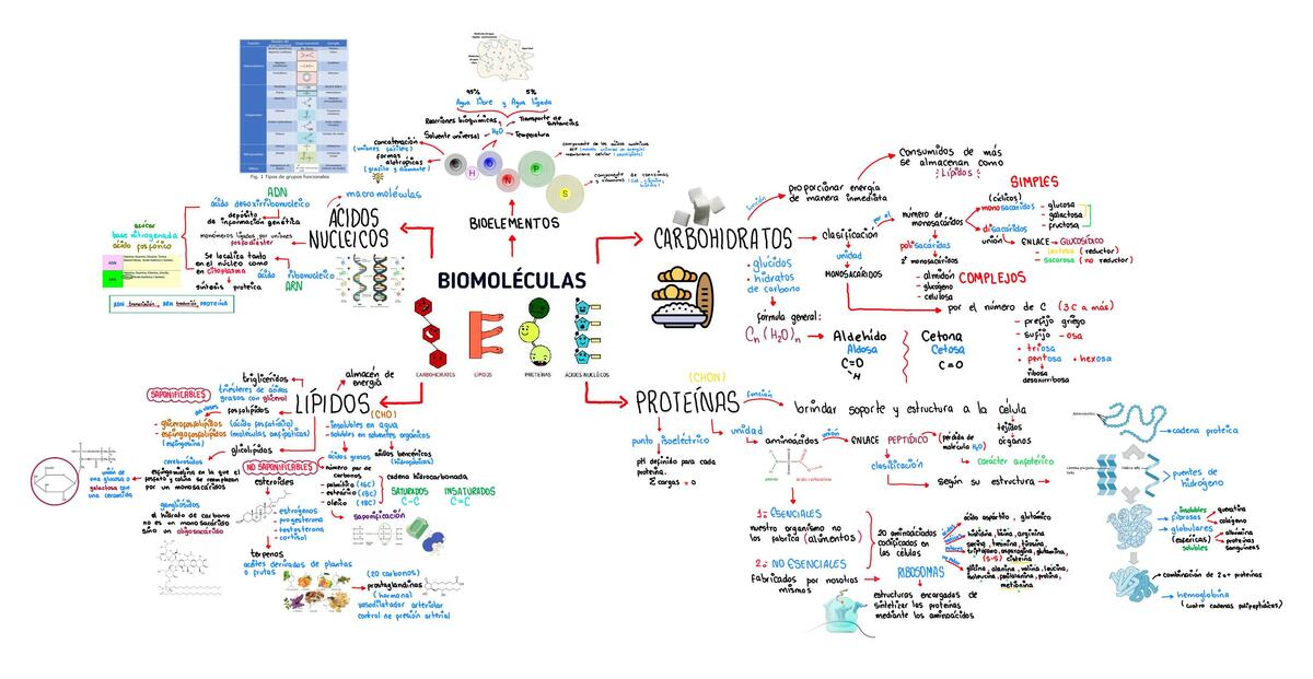 Biomoléculas