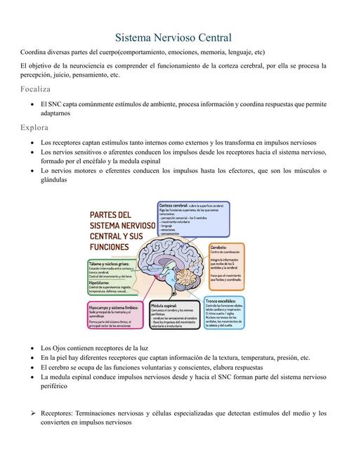 Sistema Nervioso Central Paulina G Udocz