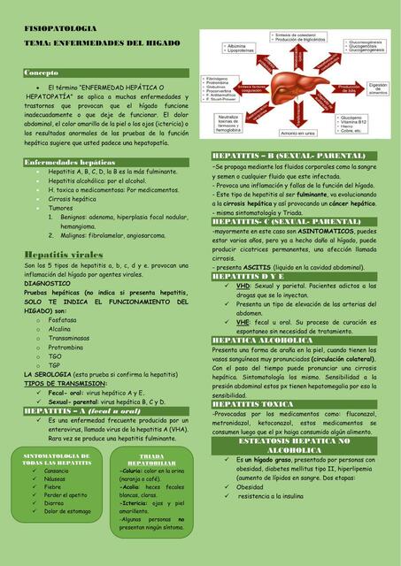 FISIOPATOLOGIA higado