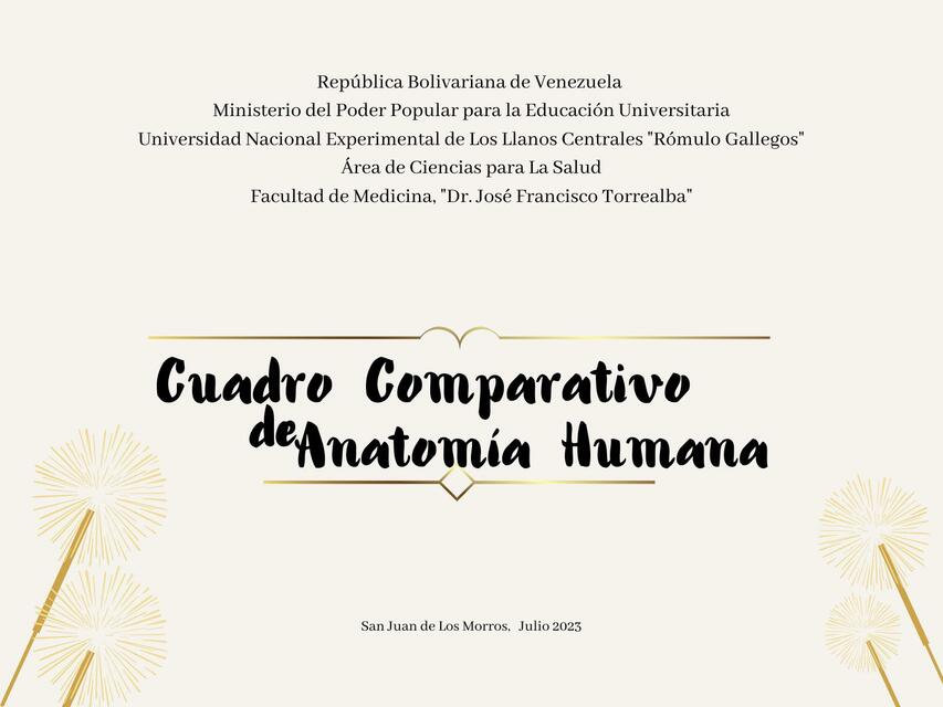 Cuadro Comparativo de Anatomía