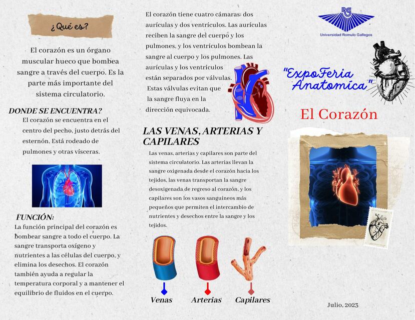 Folleto El Corazón