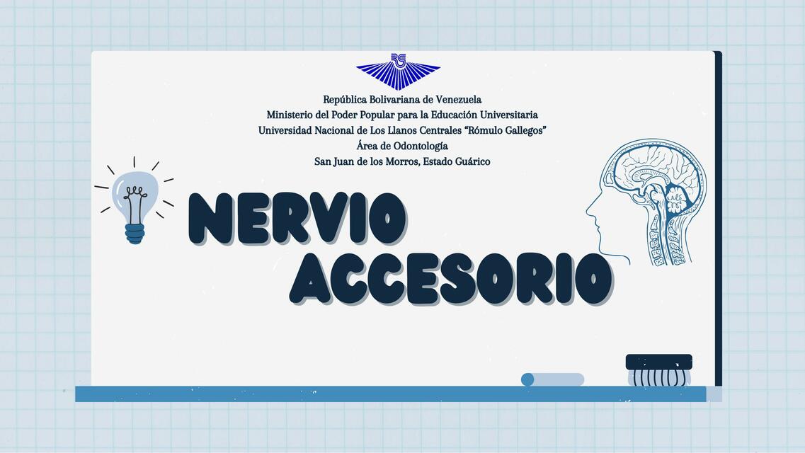 Presentación Nervio Accesorio