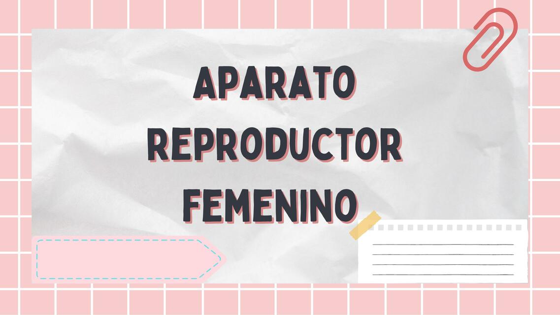 aparato reproductor femenino