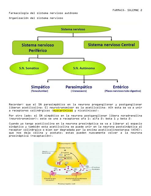 Farmacología del sistema nervioso autónomo