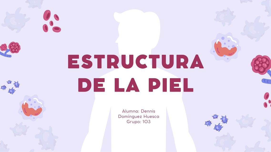 Estructura de la piel