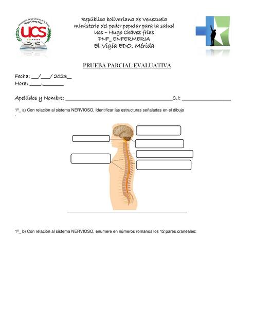 Prueba parcial evolutiva 