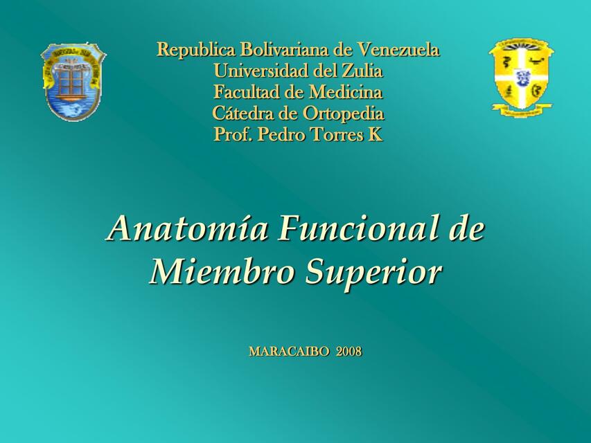 ANATOMIA MIENBRO SUPERIOR