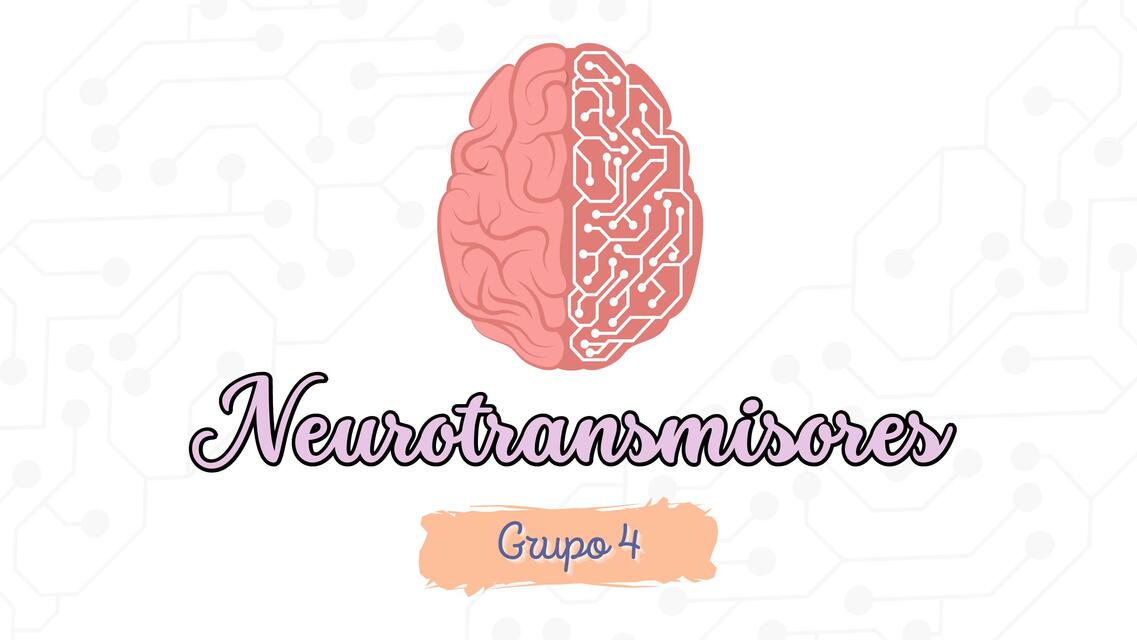 Fisiología neurotransmisores