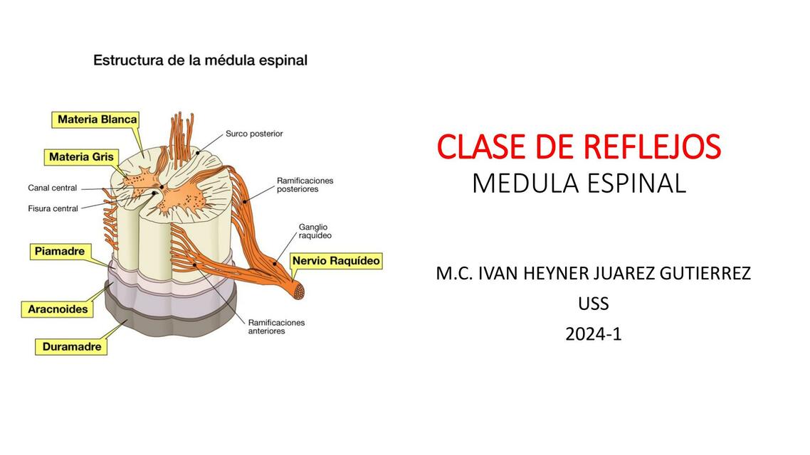 CLASE DE FISIO DR JUAREZ 1