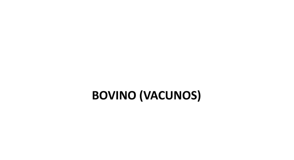 BOVINO VACUNOS