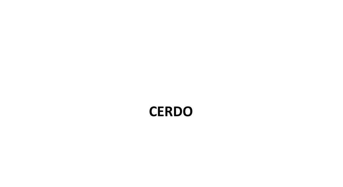 CERDO