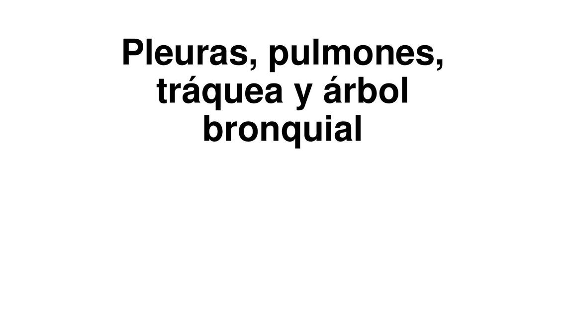 Pleuras pulmones tráquea y árbol bronquial