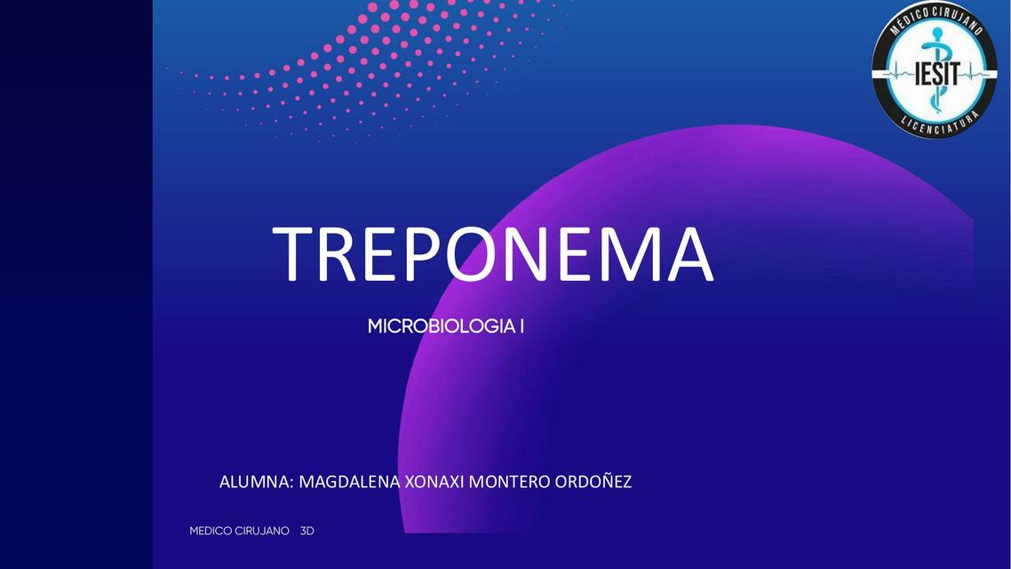 Treponema 