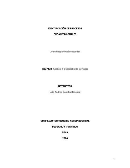 IDENTIFICACION DE PROCESOS Deiscy uDocz