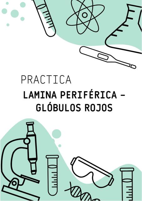 PRACTICA DE LAMINA PERIFERICA