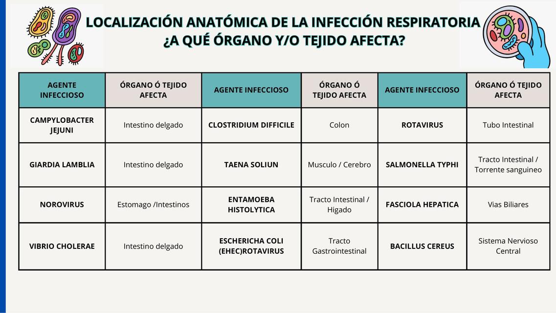 Infecciones gastrointestinales agudas y crónicas