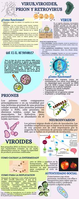 INFOGRAFIA DE VIRUS,VIROIDES, PRIONES Y RETROVIRUS