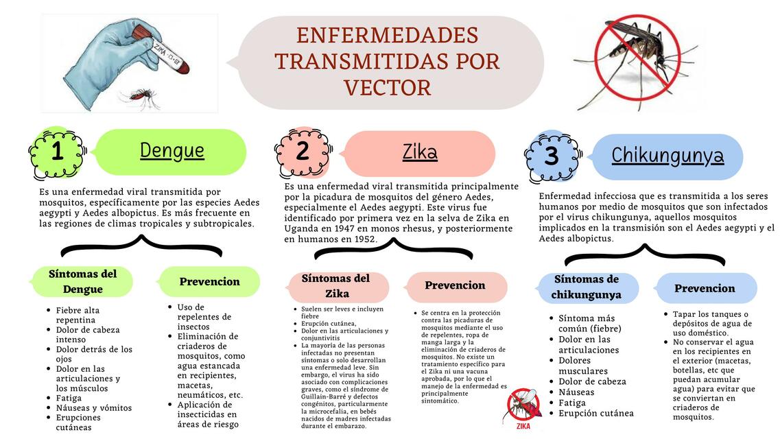 ENFERMEDADES TRANSMITIDAS POR VECTOR