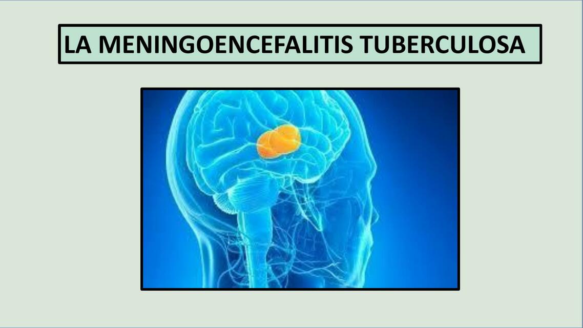 meningoencefalitis tuber 1 1